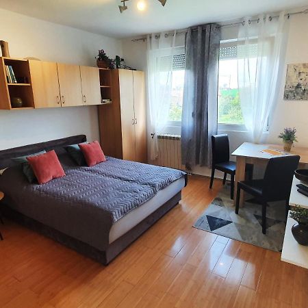 Apartman 64 - Besplatan Parking Za Goste Нови-Сад Экстерьер фото