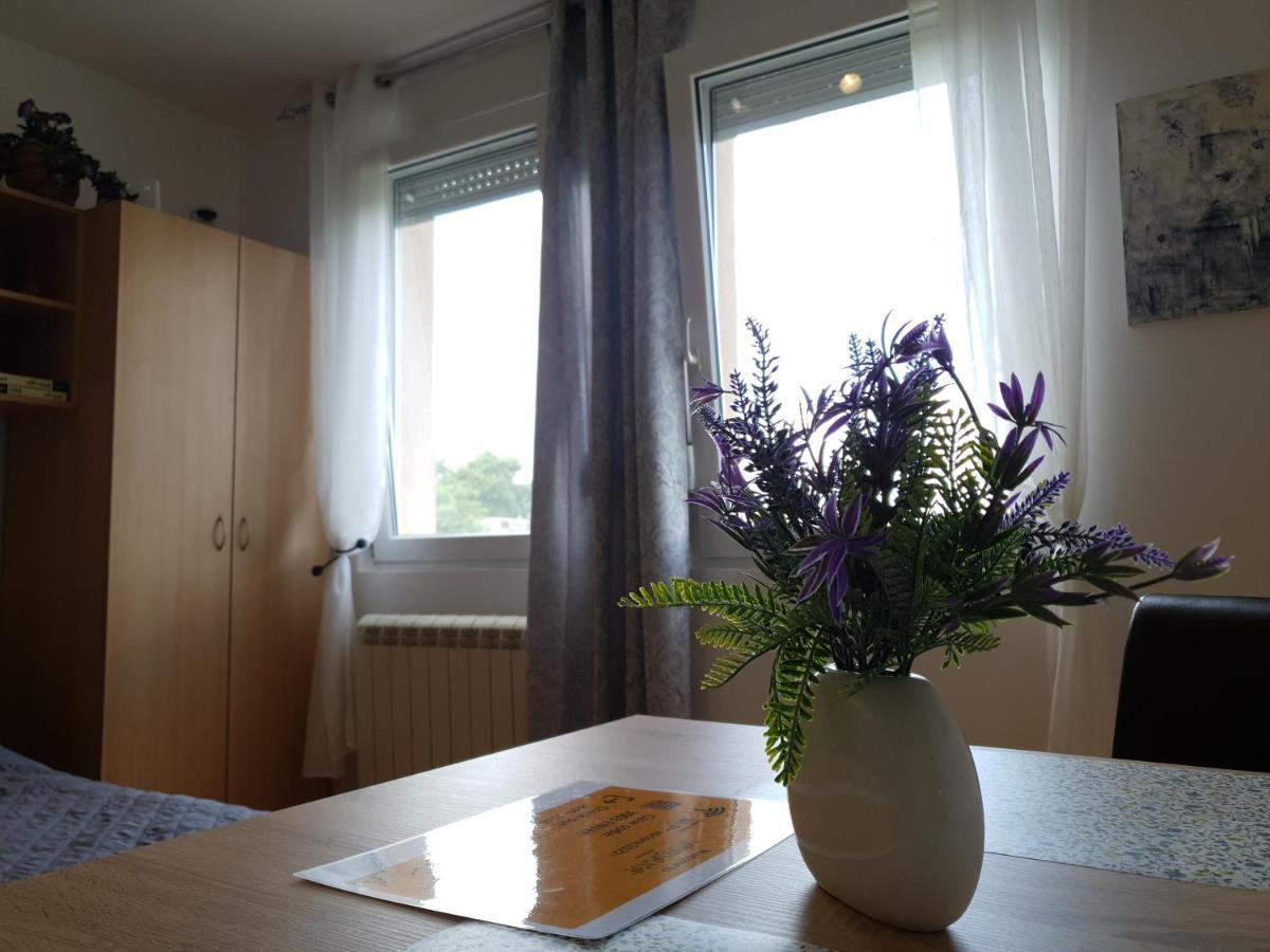 Apartman 64 - Besplatan Parking Za Goste Нови-Сад Экстерьер фото